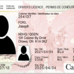 Improvement to the DND 404 Driver’s Licence