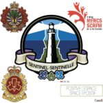 4 Wg Sentinels Strengthen Their Skills through Partnerships With Helping Professions and Resources