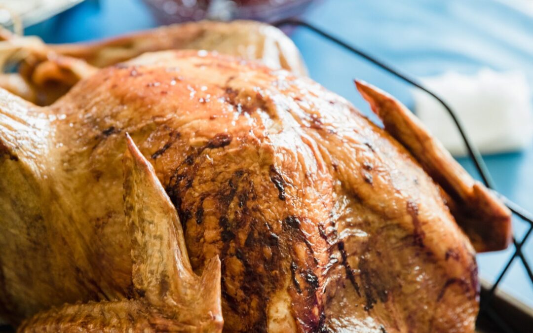Parlons de le dindins