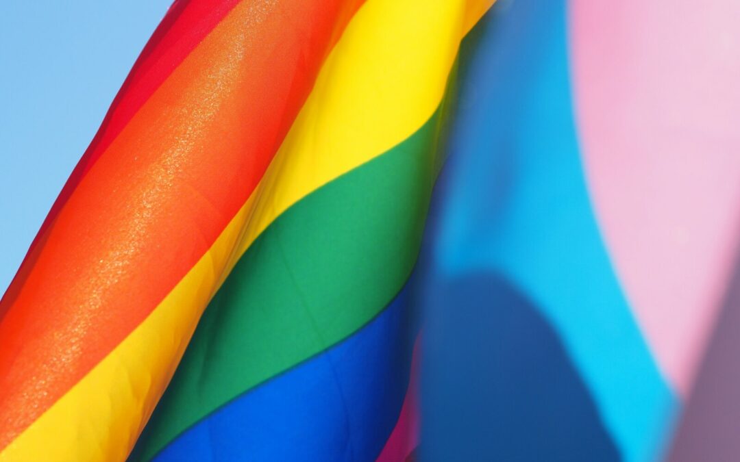 De la Journée internationale contre l&rsquo;homophobie, la transphobie et la biphobie au Mois mondial de la Fierté
