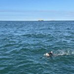 Un exploit historique à la nage : La capitaine Stephanie Bigelow traverse la Manche