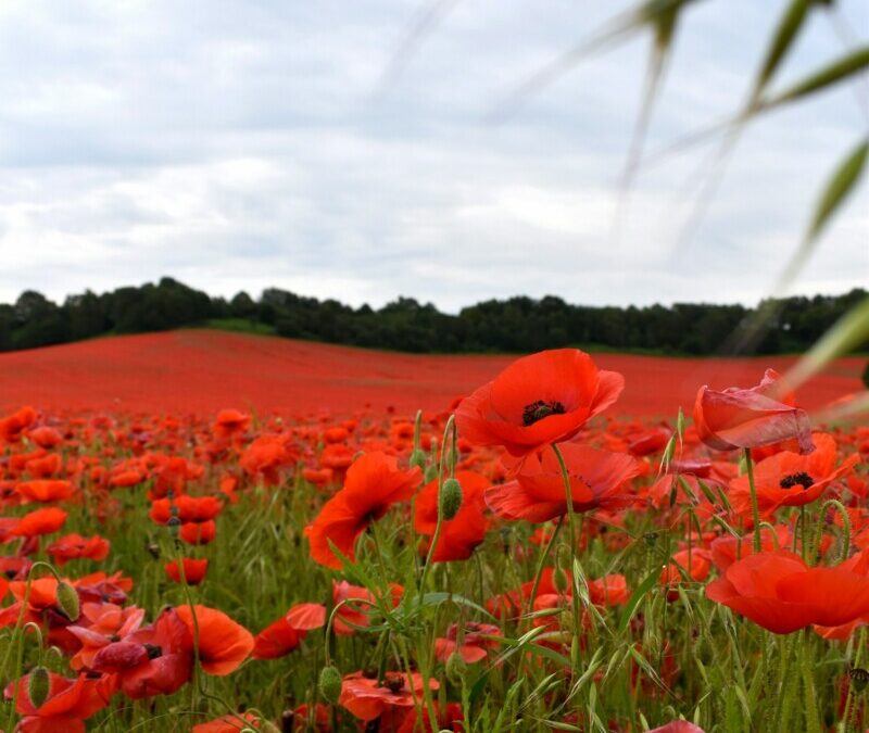Lettre à la rédaction : Un petit geste porteur de grand sens