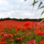 Letter to the Editor: Small gesture, big effect