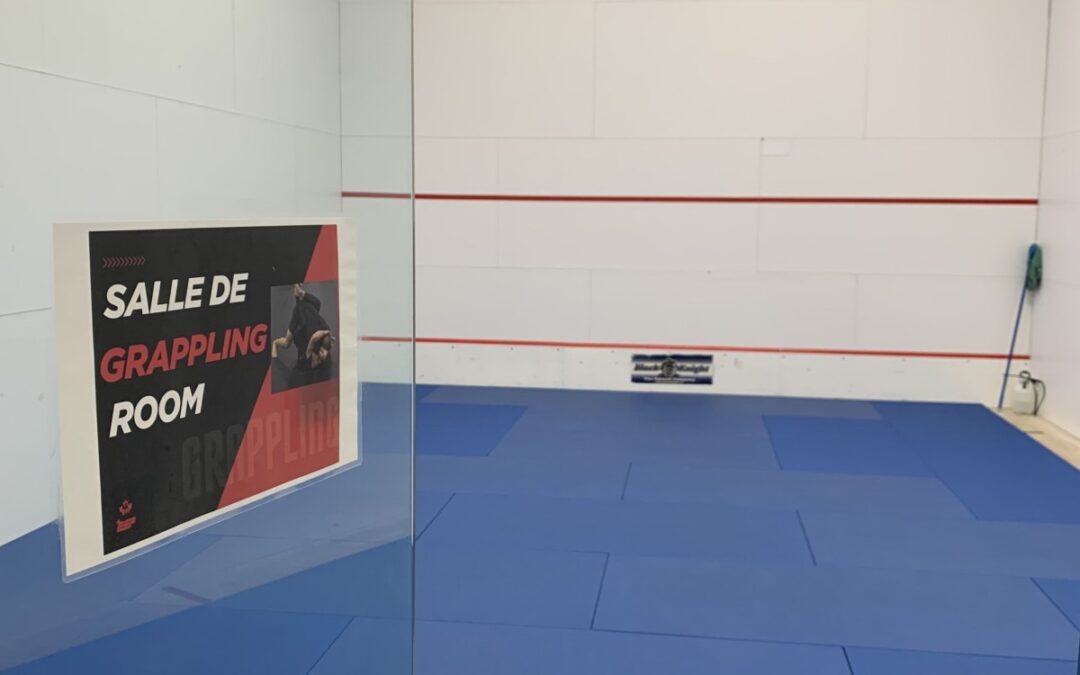 Nouvel espace réservé permettant d’améliorer le programme de combat au sol de la BFC Cold Lake