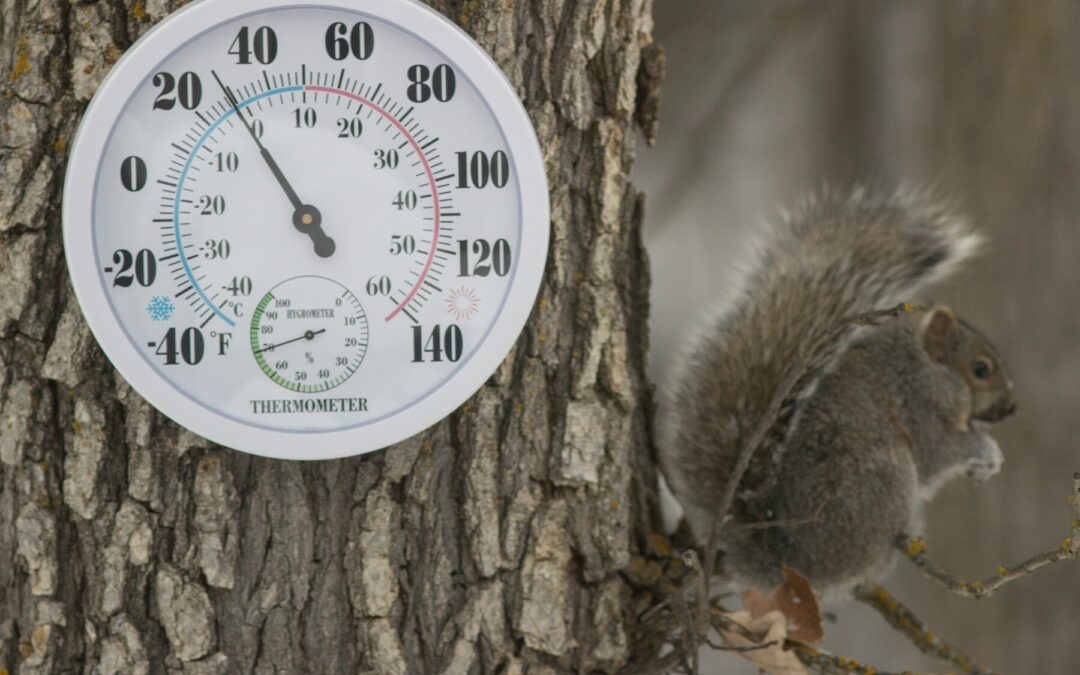 Réflexions de l’aumônier: Printemps-des-Déceptions