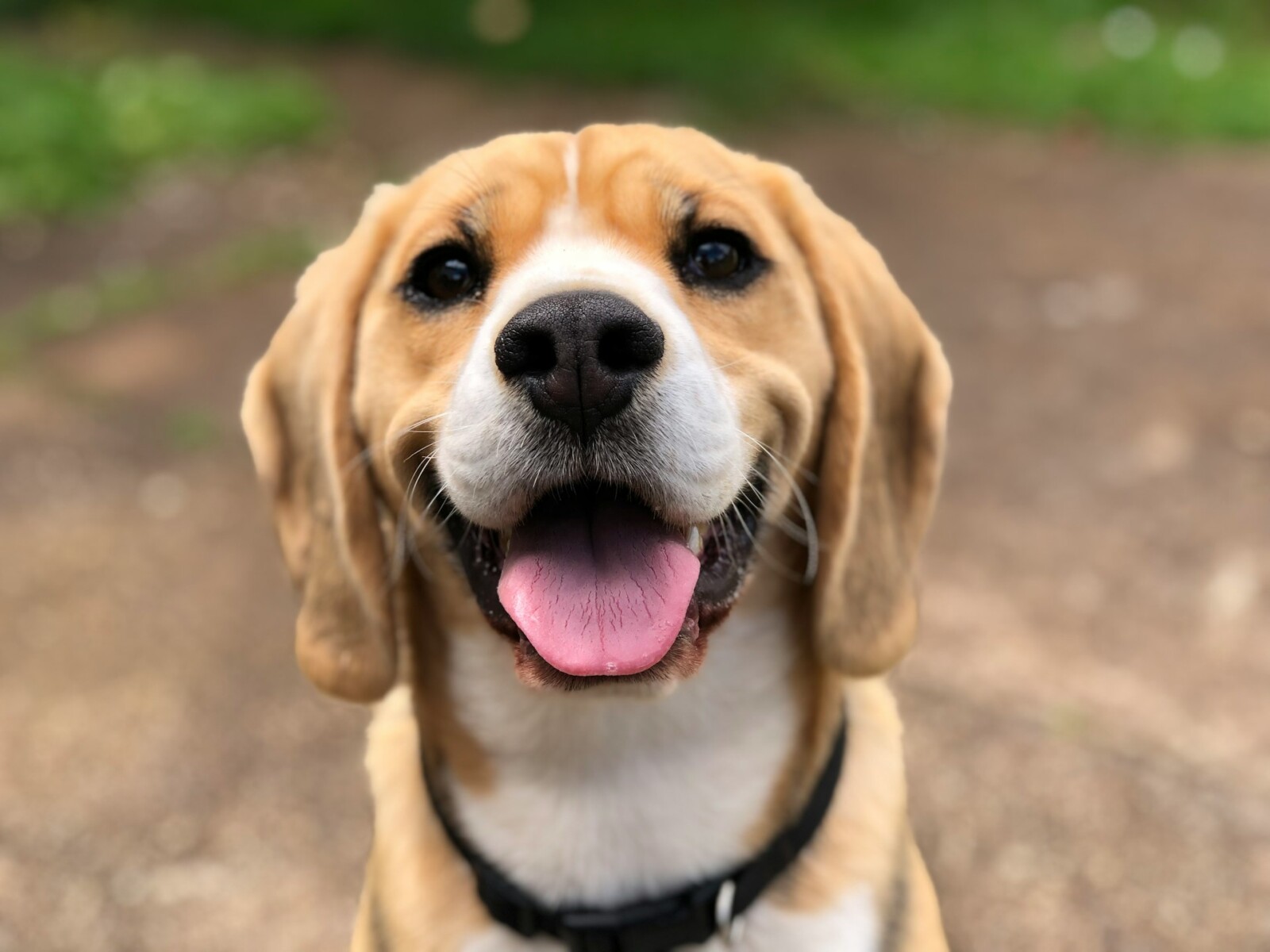 milli-2l0CWTpcChI-unsplash (1)